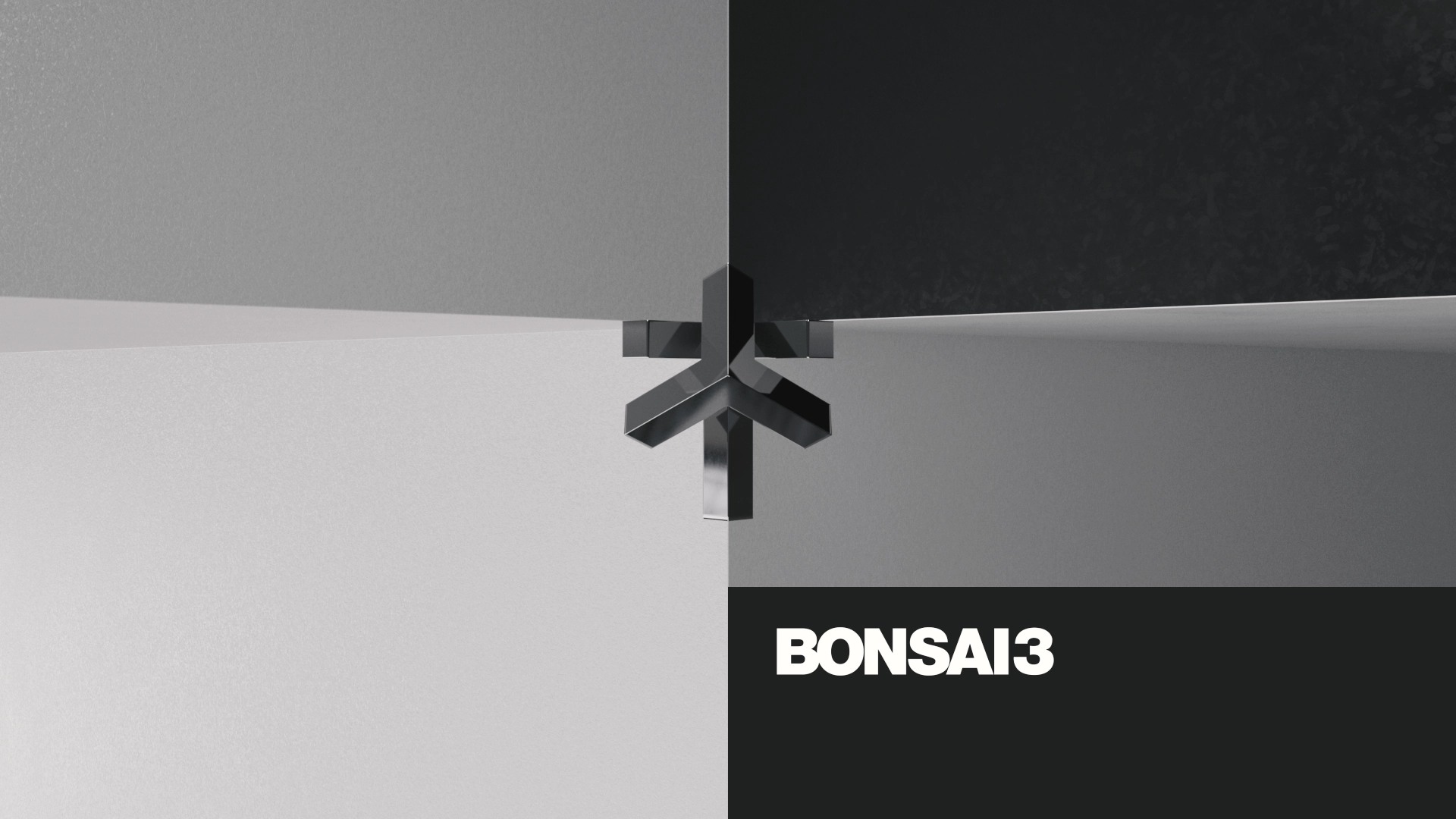 BONSAI3 – A NEW REEL, A NEW SPARK
